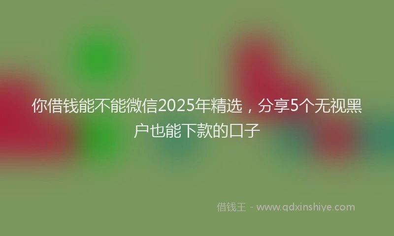 你借钱能不能微信2025年精选，分享5个无视黑户也能下款的口子
