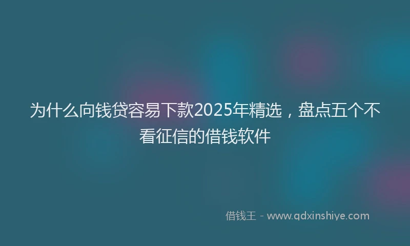 为什么向钱贷容易下款2025年精选，盘点五个不看征信的借钱软件