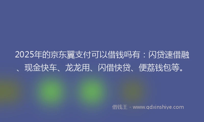 2025年的京东翼支付可以借钱吗有:闪贷速借融、现金快车、龙龙用、闪借快贷、便荔钱包等。