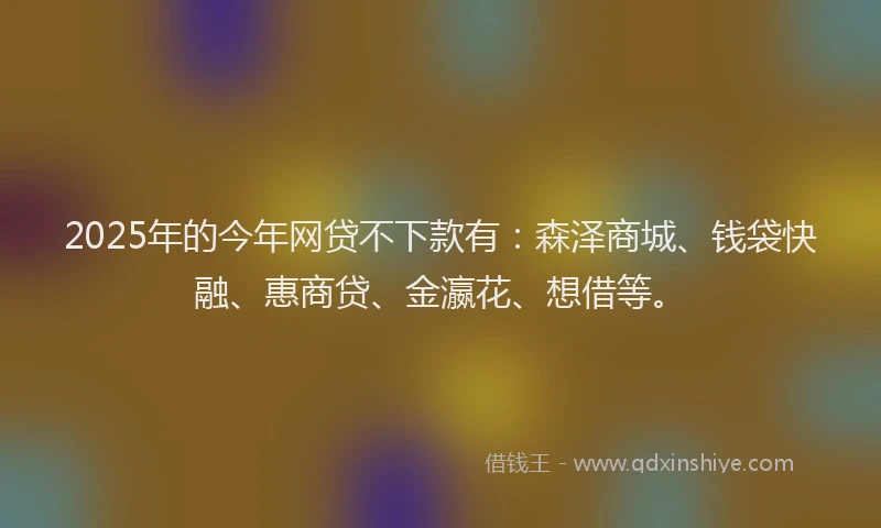 2025年的今年网贷不下款有：森泽商城、钱袋快融、惠商贷、金瀛花、想借等。
