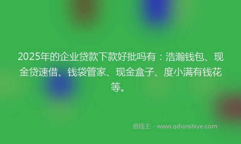 2025年的企业贷款下款好批吗有：浩瀚钱包、现金贷速借、钱袋管家、现金盒子、度小满有钱花等。