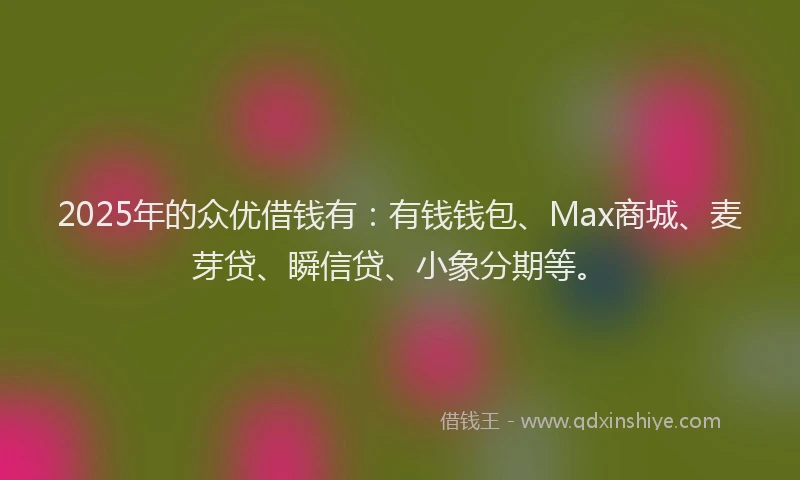 2025年的众优借钱有：有钱钱包、Max商城、麦芽贷、瞬信贷、小象分期等。