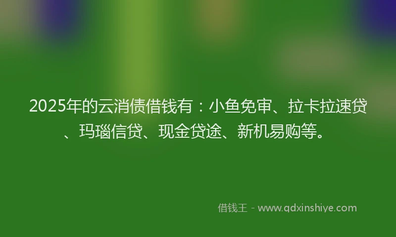 2025年的云消债借钱有：小鱼免审、拉卡拉速贷、玛瑙信贷、现金贷途、新机易购等。