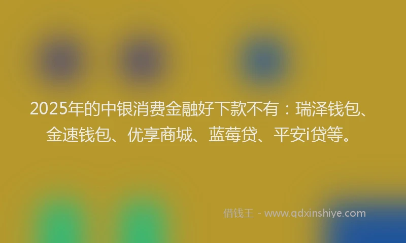 2025年的中银消费金融好下款不有：瑞泽钱包、金速钱包、优享商城、蓝莓贷、平安i贷等。