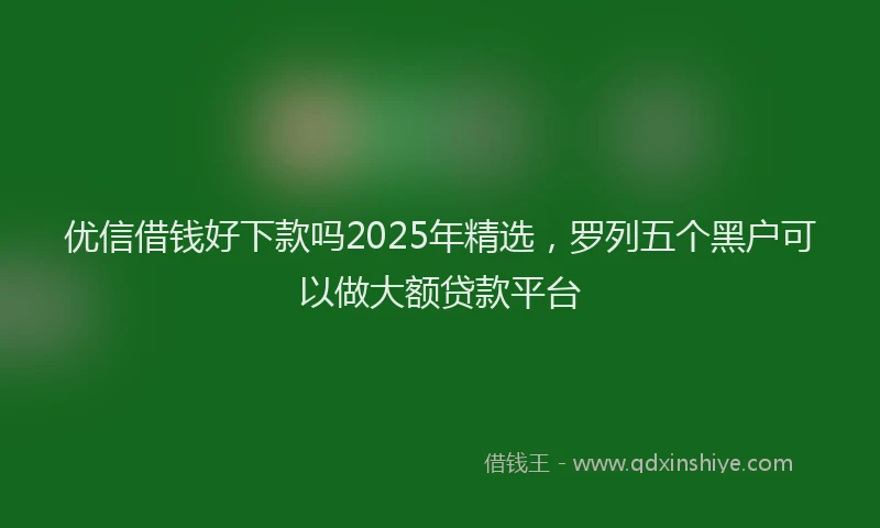 优信借钱好下款吗2025年精选,罗列五个黑户可以做大额贷款平台