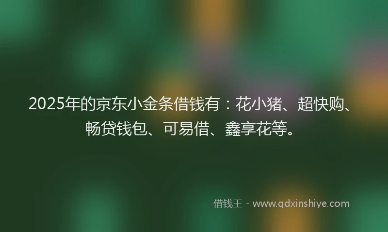 2025年的京东小金条借钱有：花小猪、超快购、畅贷钱包、可易借、鑫享花等。