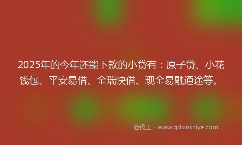 2025年的今年还能下款的小贷有:原子贷、小花钱包、平安易借、金瑞快借、现金易融通途等。