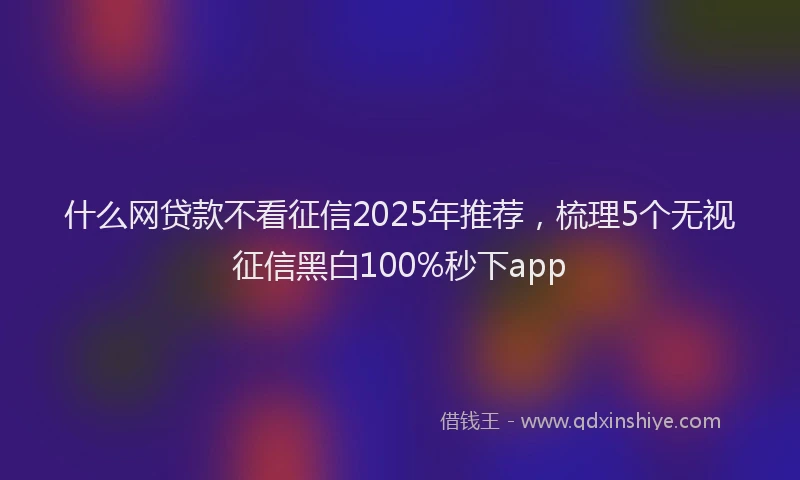 什么网贷款不看征信2025年推荐,梳理5个无视征信黑白100%秒下app