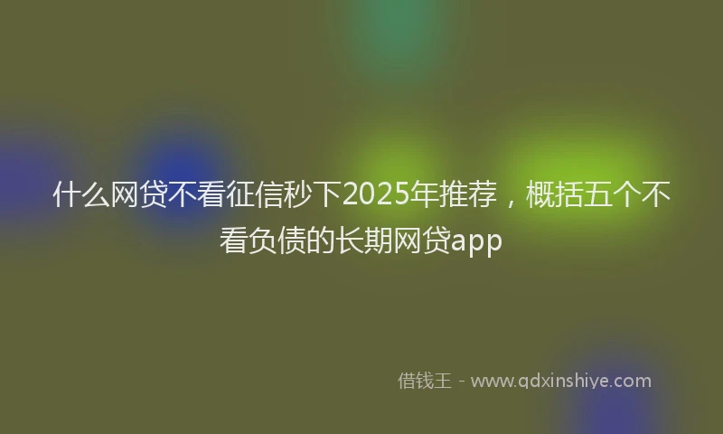 什么网贷不看征信秒下2025年推荐，概括五个不看负债的长期网贷app