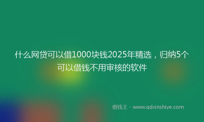 什么网贷可以借1000块钱2025年精选，归纳5个可以借钱不用审核的软件