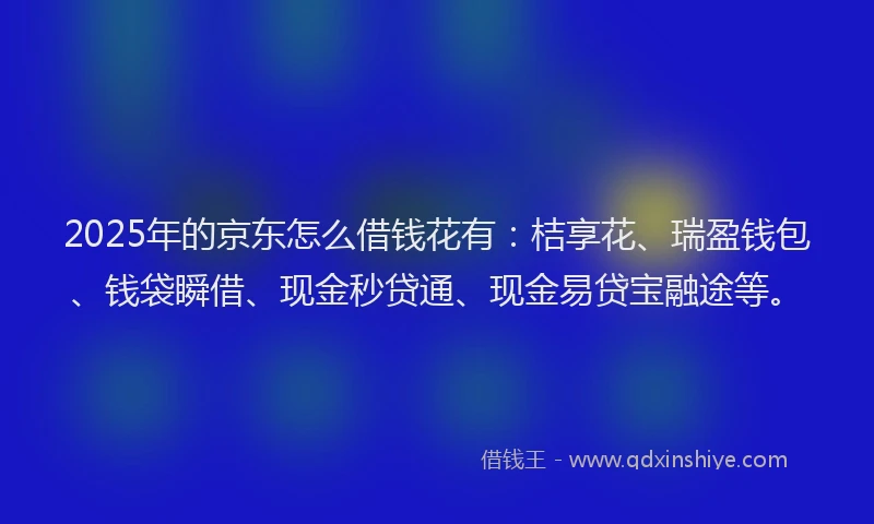 2025年的京东怎么借钱花有：桔享花、瑞盈钱包、钱袋瞬借、现金秒贷通、现金易贷宝融途等。