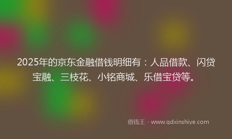 2025年的京东金融借钱明细有：人品借款、闪贷宝融、三枝花、小铭商城、乐借宝贷等。