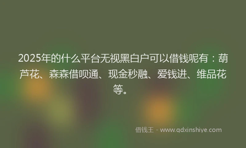 2025年的什么平台无视黑白户可以借钱呢有：葫芦花、森森借呗通、现金秒融、爱钱进、维品花等。