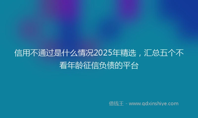 信用不通过是什么情况2025年精选，汇总五个不看年龄征信负债的平台