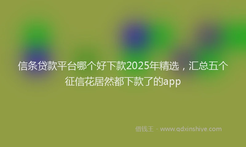 信条贷款平台哪个好下款2025年精选，汇总五个征信花居然都下款了的app