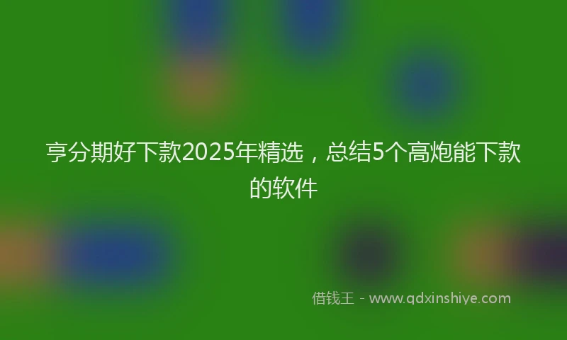 亨分期好下款2025年精选，总结5个高炮能下款的软件