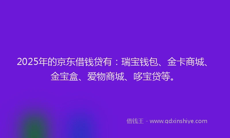 2025年的京东借钱贷有：瑞宝钱包、金卡商城、金宝盒、爱物商城、哆宝贷等。
