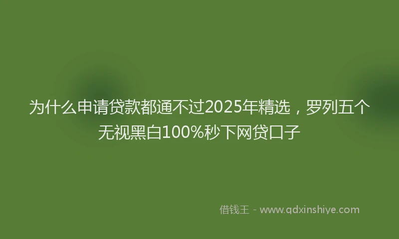 为什么申请贷款都通不过2025年精选，罗列五个无视黑白100%秒下网贷口子
