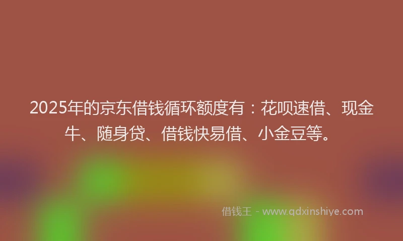2025年的京东借钱循环额度有:花呗速借、现金牛、随身贷、借钱快易借、小金豆等。