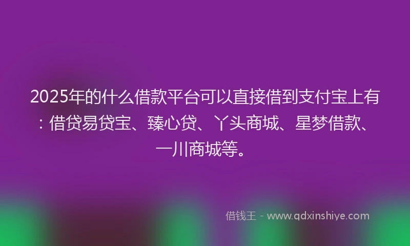 2025年的什么借款平台可以直接借到支付宝上有：借贷易贷宝、臻心贷、丫头商城、星梦借款、一川商城等。