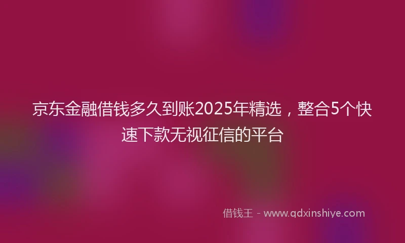 京东金融借钱多久到账2025年精选，整合5个快速下款无视征信的平台