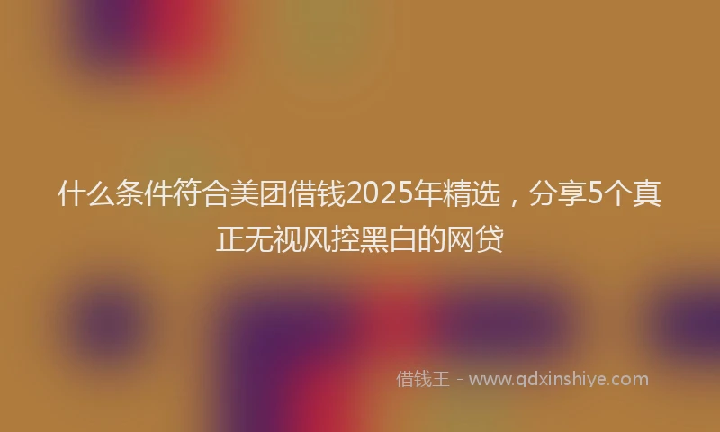 什么条件符合美团借钱2025年精选，分享5个真正无视风控黑白的网贷
