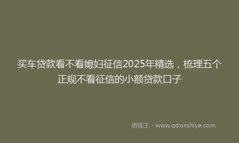 买车贷款看不看媳妇征信2025年精选，梳理五个正规不看征信的小额贷款口子