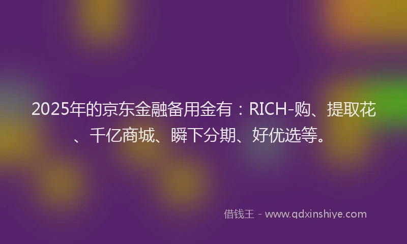 2025年的京东金融备用金有：RICH-购、提取花、千亿商城、瞬下分期、好优选等。