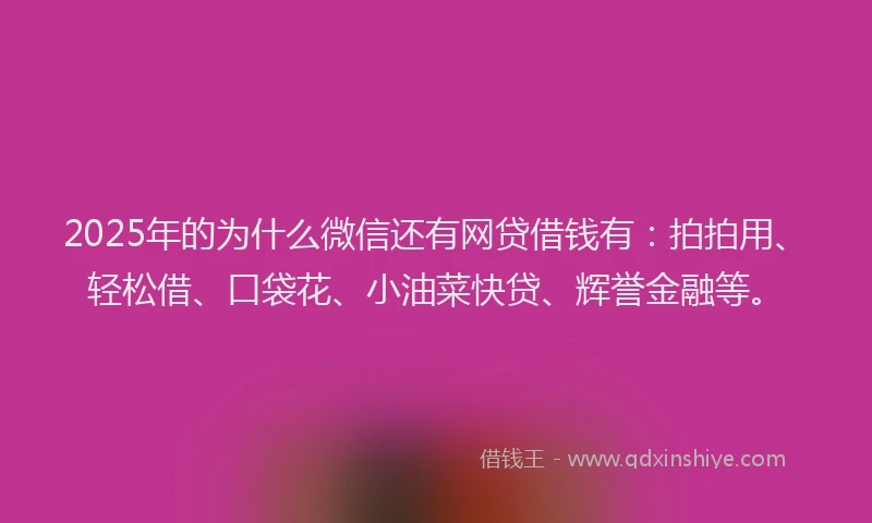2025年的为什么微信还有网贷借钱有:拍拍用、轻松借、口袋花、小油菜快贷、辉誉金融等。