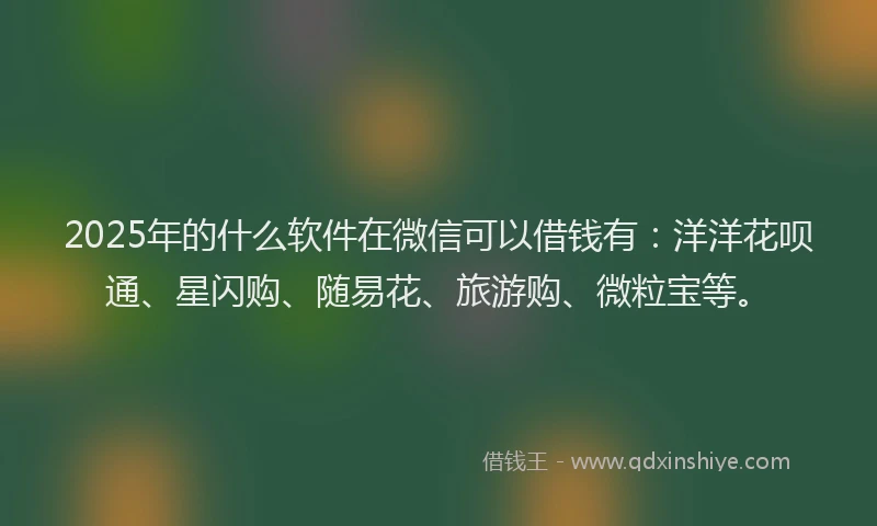 2025年的什么软件在微信可以借钱有：洋洋花呗通、星闪购、随易花、旅游购、微粒宝等。