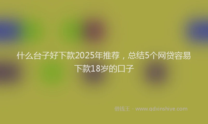 什么台子好下款2025年推荐，总结5个网贷容易下款18岁的口子