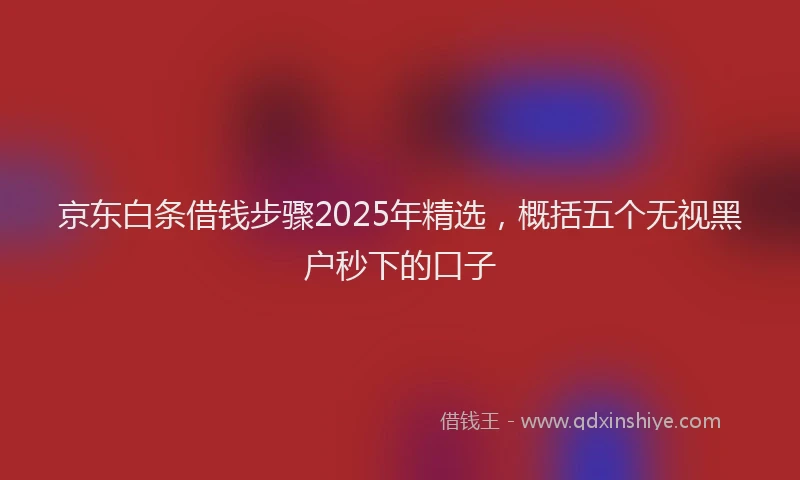 京东白条借钱步骤2025年精选,概括五个无视黑户秒下的口子