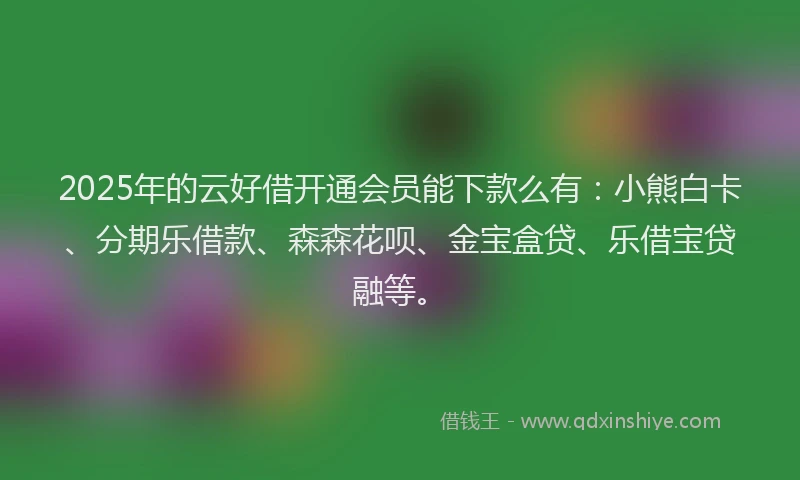 2025年的云好借开通会员能下款么有：小熊白卡、分期乐借款、森森花呗、金宝盒贷、乐借宝贷融等。