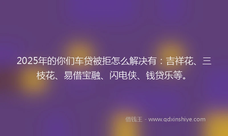 2025年的你们车贷被拒怎么解决有:吉祥花、三枝花、易借宝融、闪电侠、钱贷乐等。