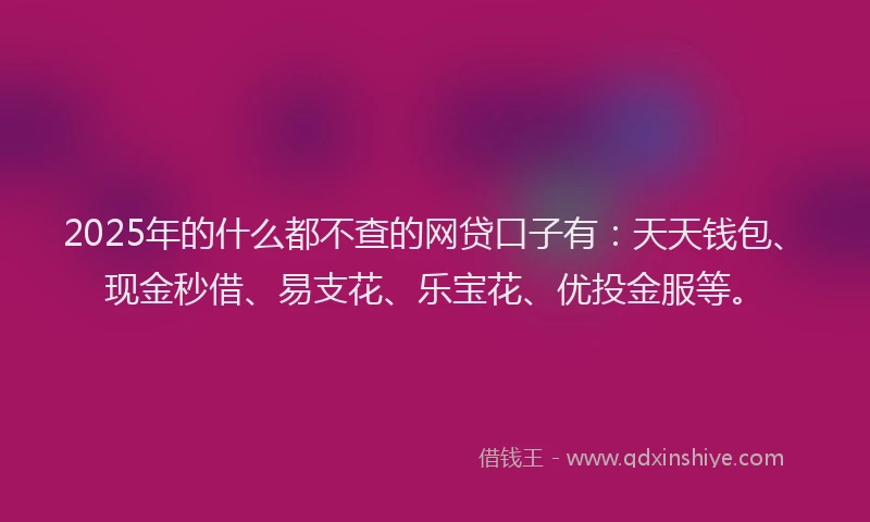 2025年的什么都不查的网贷口子有：天天钱包、现金秒借、易支花、乐宝花、优投金服等。