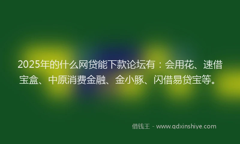 2025年的什么网贷能下款论坛有：会用花、速借宝盒、中原消费金融、金小豚、闪借易贷宝等。