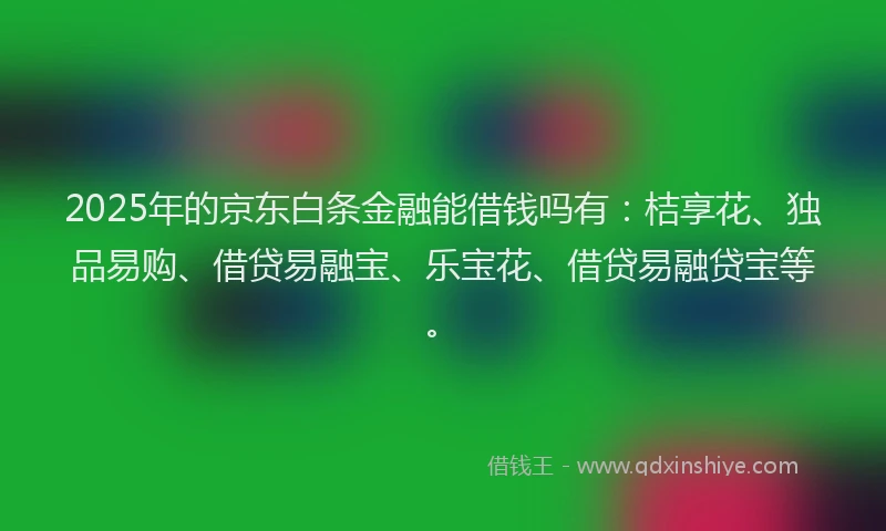 2025年的京东白条金融能借钱吗有：桔享花、独品易购、借贷易融宝、乐宝花、借贷易融贷宝等。