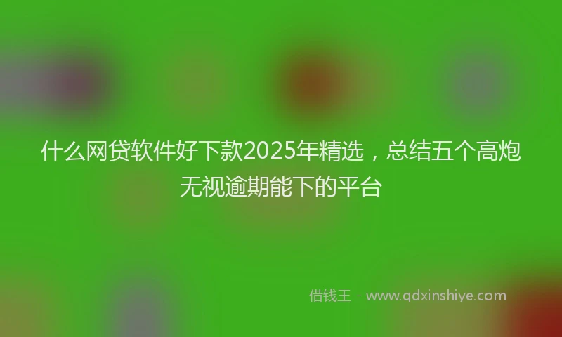什么网贷软件好下款2025年精选，总结五个高炮无视逾期能下的平台