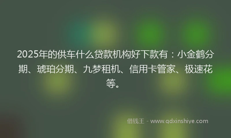 2025年的供车什么贷款机构好下款有：小金鹤分期、琥珀分期、九梦租机、信用卡管家、极速花等。