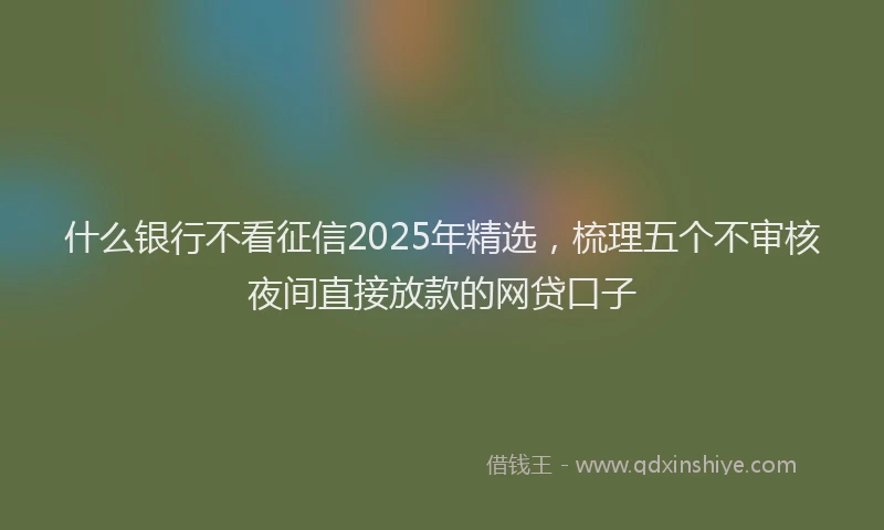 什么银行不看征信2025年精选,梳理五个不审核夜间直接放款的网贷口子