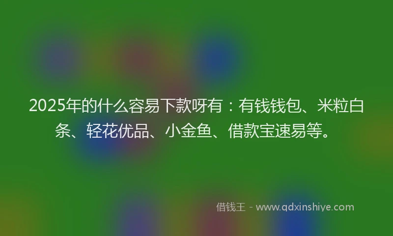 2025年的什么容易下款呀有：有钱钱包、米粒白条、轻花优品、小金鱼、借款宝速易等。