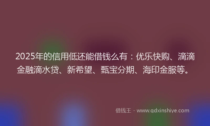 2025年的信用低还能借钱么有：优乐快购、滴滴金融滴水贷、新希望、甄宝分期、海印金服等。