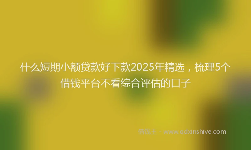 什么短期小额贷款好下款2025年精选，梳理5个借钱平台不看综合评估的口子