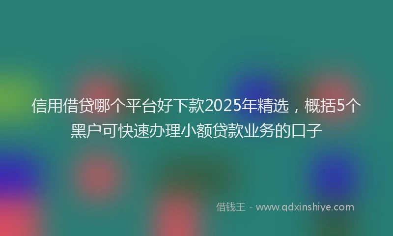 信用借贷哪个平台好下款2025年精选，概括5个黑户可快速办理小额贷款业务的口子