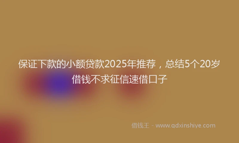 保证下款的小额贷款2025年推荐，总结5个20岁借钱不求征信速借口子