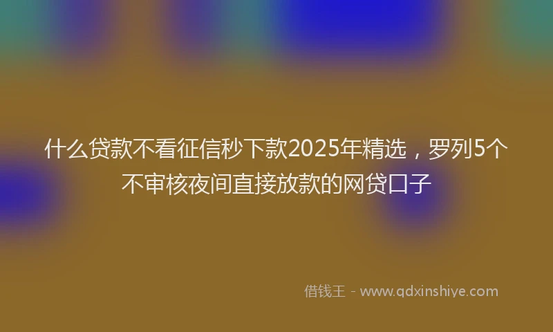 什么贷款不看征信秒下款2025年精选，罗列5个不审核夜间直接放款的网贷口子