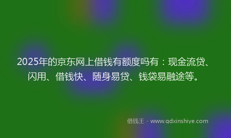 2025年的京东网上借钱有额度吗有：现金流贷、闪用、借钱快、随身易贷、钱袋易融途等。
