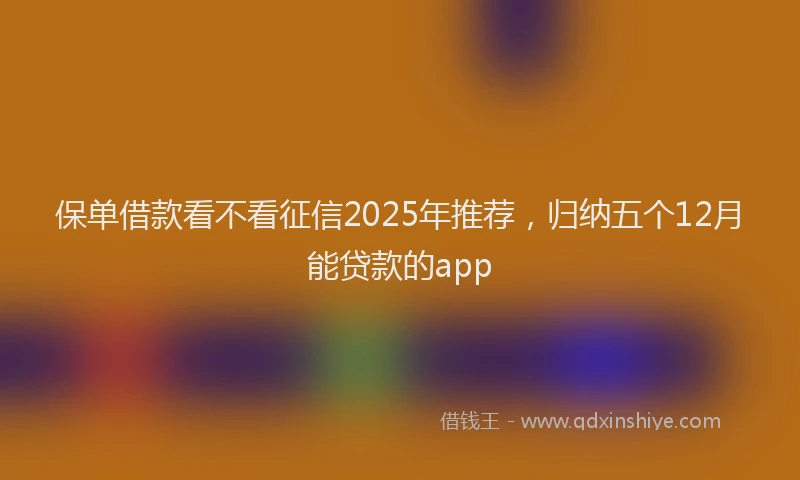 保单借款看不看征信2025年推荐，归纳五个12月能贷款的app