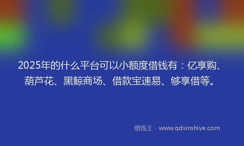 2025年的什么平台可以小额度借钱有：亿享购、葫芦花、黑鲸商场、借款宝速易、够享借等。