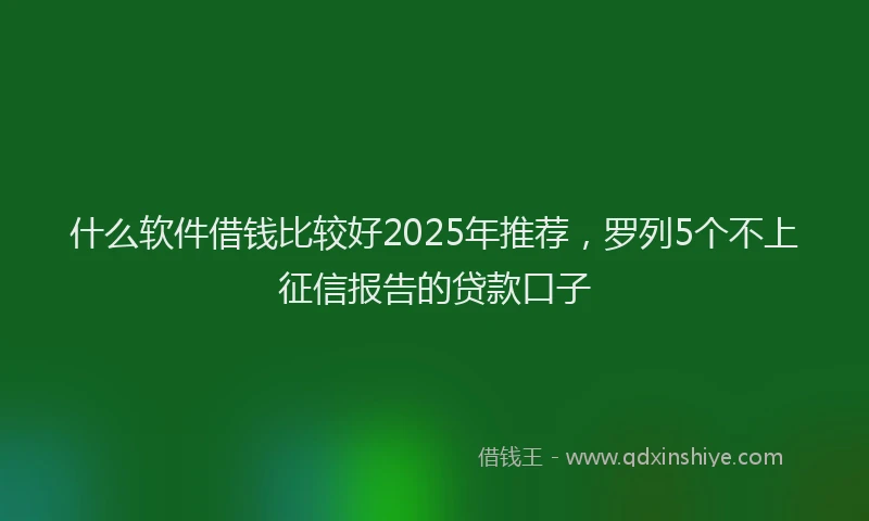 什么软件借钱比较好2025年推荐，罗列5个不上征信报告的贷款口子